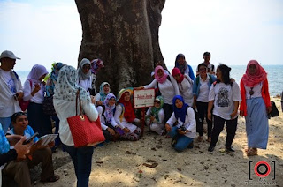 Pohon jodoh Pohon-jodoh